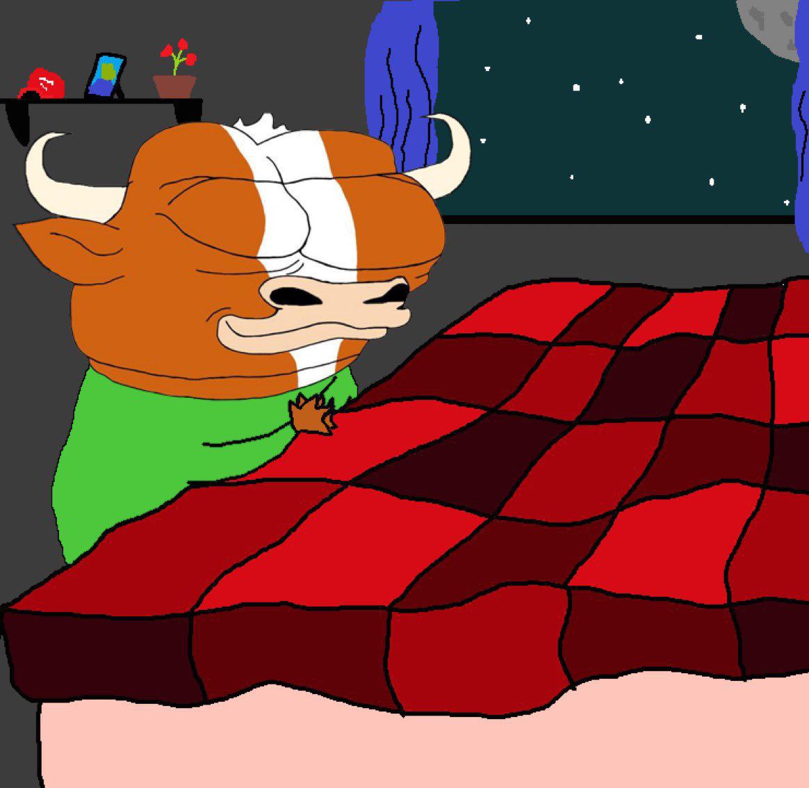 Mumu tucked into bed under a red plaid blanket at night